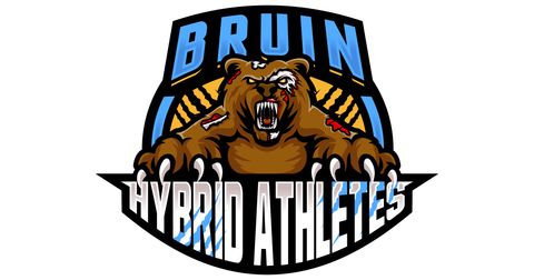  Logo