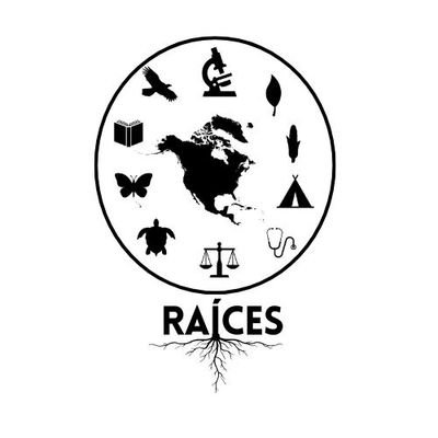 R.A.Í.C.E.S   Logo
